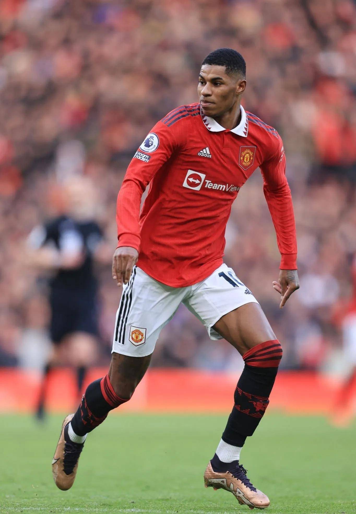 加索尔兄弟 加索尔兄弟