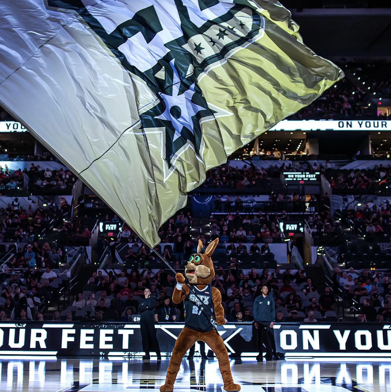 以某知名体 以某知名体